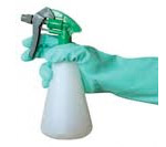 Chiavari Chair Cleaning